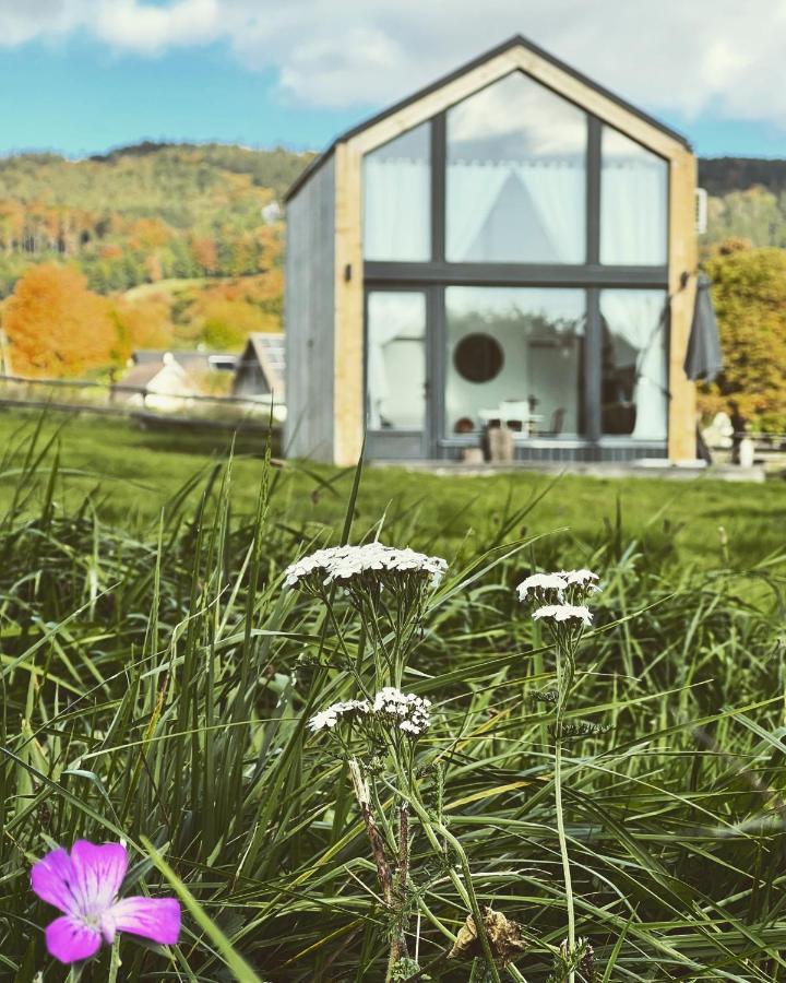 Domek Pod Stromcem Czernica  Exteriör bild